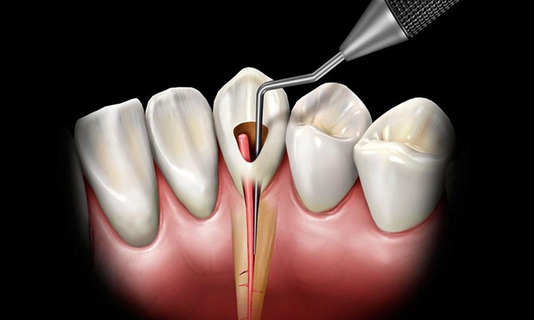  مزایای استفاده از میکروسکوپ 