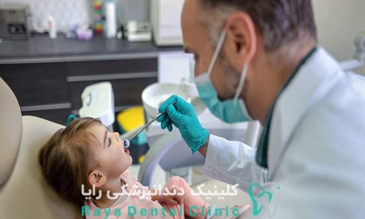 سدیشن چیست